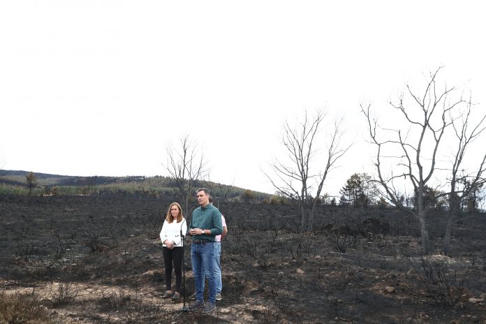 El presidente del Gobierno, Pedro Sánchez, visita la zona calcinada en el incendio de Sierra Culebra (Zamora).