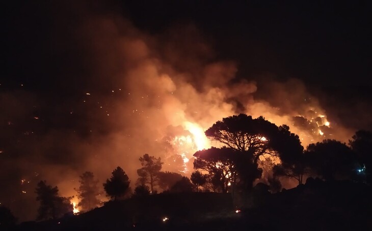 Los incendios en España arrasan más de 60.000 hectáreas