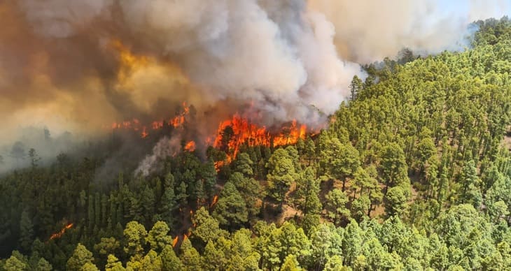 Los incendios devoran España, 122.000 hectáreas quemadas en 2022