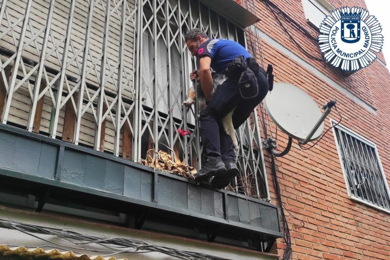 La Policía rescata a un perro atrapado, a punto de caer desde una terraza en Madrid