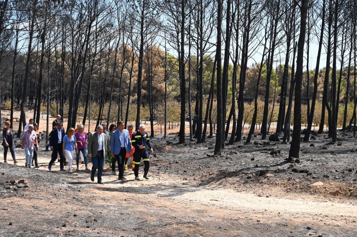 Pedro Sánchez, acompañado por otras autoridades, durante su visita a la zona afectada por el incendio de Bejís (Castellón)