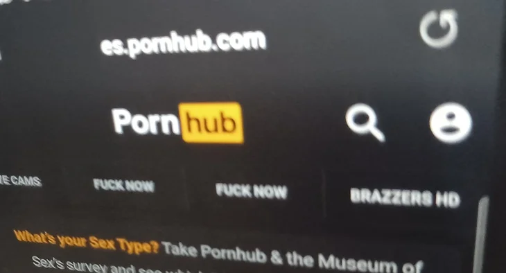 Brazzers Survye Porn 1080p Com - Un juez de EE.UU admite una demanda contra VISA por pagos en Pornhub -  Estrella Digital