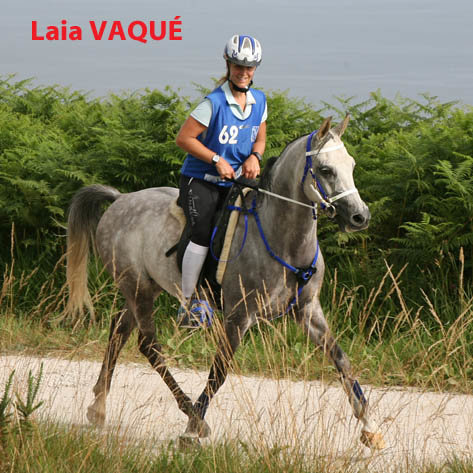 Laiavaque4451