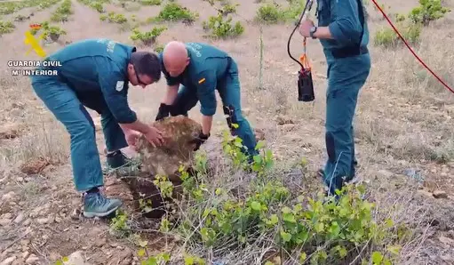 Pozo De La Finca En Manzanares