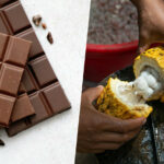 La crisis del cacao llegara tras el verano