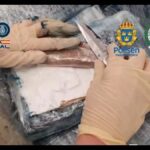 cocaina en un contenedor aereo procedente de Ecuador