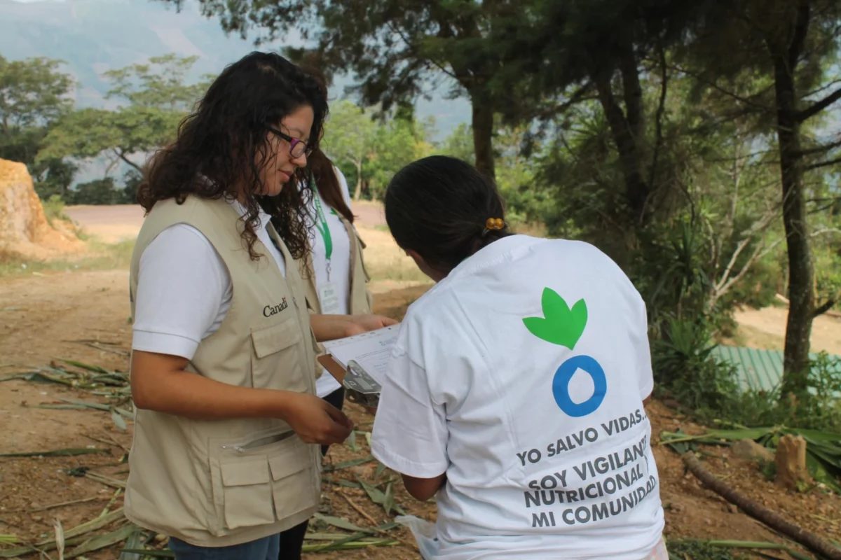 Voluntario