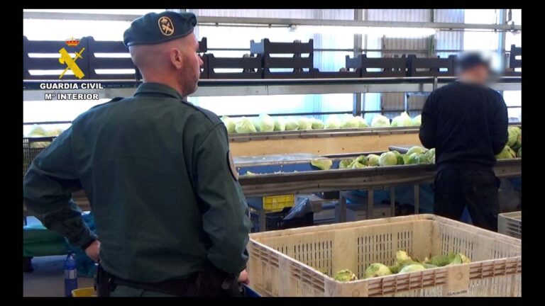 Cae un grupo criminal que vendió dos millones de kilos de frutas y verduras como productos ecológicos