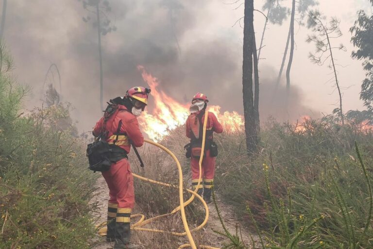 Gran despliegue de la UME para luchar contra el fuego en los incendios de Portugal