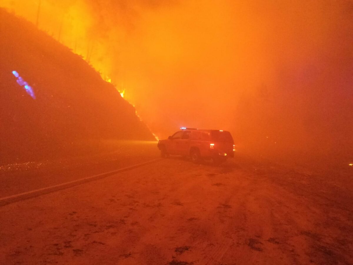 Ume Portugal Incendios