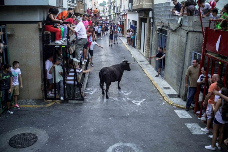 PACMA pide responsabilidades políticas ante la muerte de un hombre en los ‘bous al carrer’ de la Vall d’Uixó (Castellón)