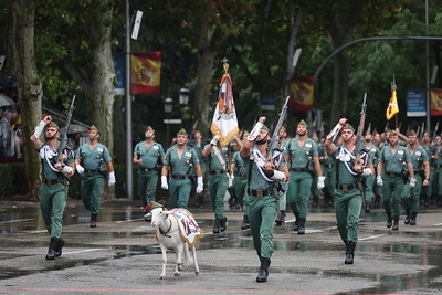 Desfile Legion Mascota