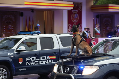 Guias Caninos Policia Nacional Desfile