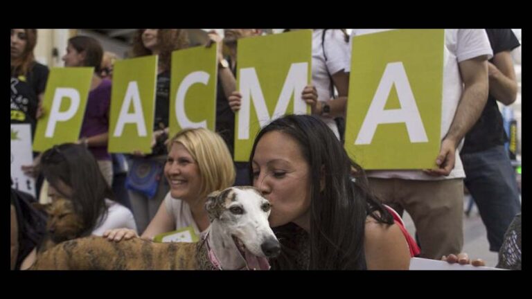 PACMA critica la Ley de Bienestar Animal: «Insuficiente y excluyente tras un año de vigencia»