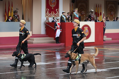 Ume Desfile Fiesta Nacional