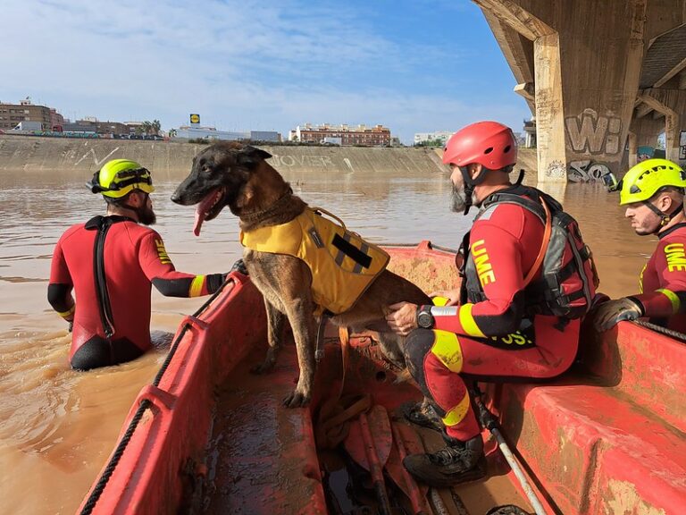 Hay 93 casos activos de desaparecidos por la DANA y los equipos de emergencia se centran en ríos, mar y la Albufera