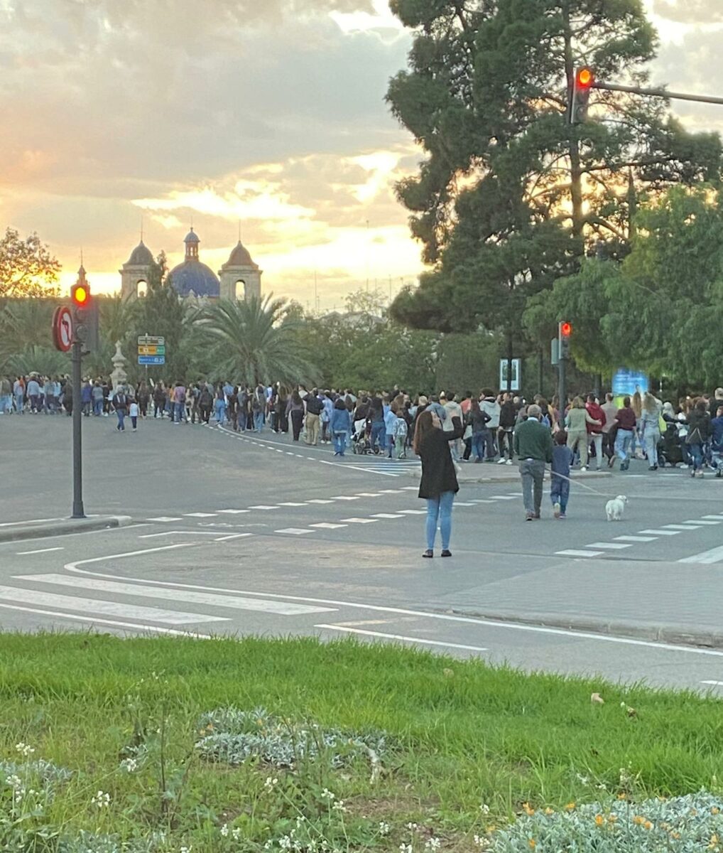 Columnas De Manifestantes