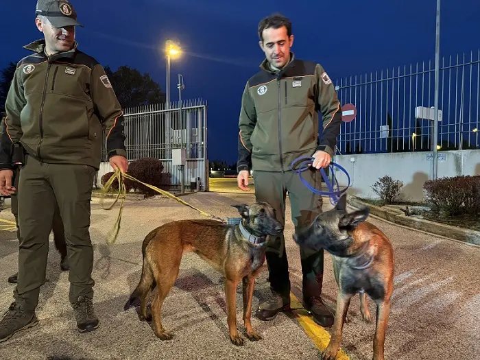 Agentes Forestales Madrid Dana Perros