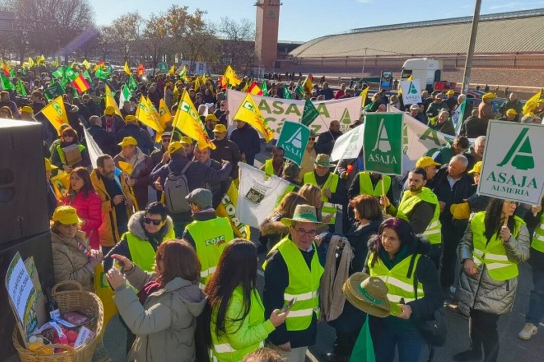 Los manifestantes consideran que el acuerdo entre la UE y Mercosur puede producir una competencia desleal. (Foto: Asaja).