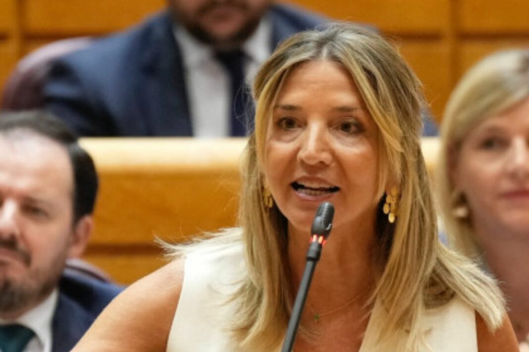 Alicia García durante una comparecencia en el Senado. (Foto: PP).